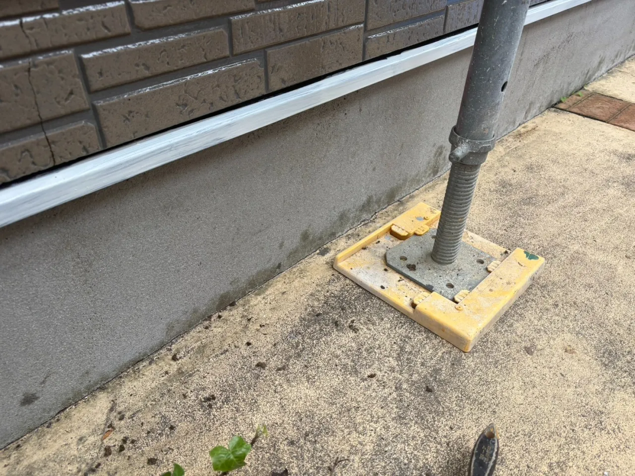 静岡市で基礎塗装|蔦の撤去から下地処理まで丁寧に施工